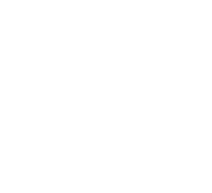 Placid Tour & Travel